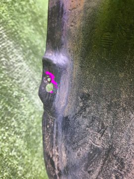 ЗАЩИТА ПОД КРЫЛО НА TOYOTA SPRINTER AE110