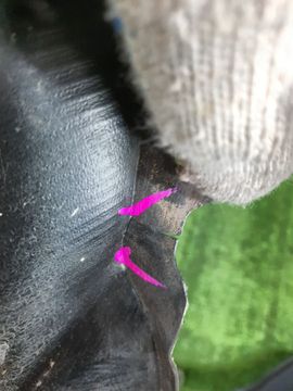 ЗАЩИТА ПОД КРЫЛО НА TOYOTA ALLION ZRT260