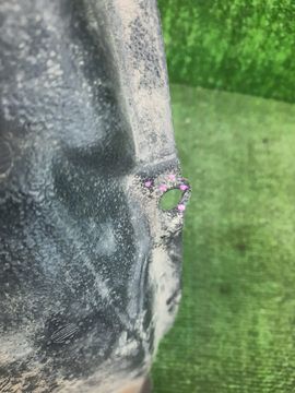 ЗАЩИТА ПОД КРЫЛО НА TOYOTA PRIUS ALPHA ZVW41W