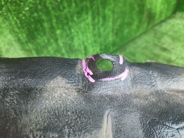 ЗАЩИТА ПОД КРЫЛО НА TOYOTA CALDINA ST210