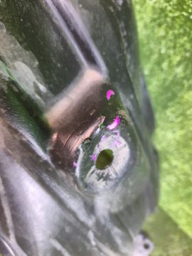 ЗАЩИТА ПОД КРЫЛО НА TOYOTA YARIS MXPH10