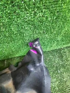 ЗАЩИТА ПОД КРЫЛО НА NISSAN PRIMERA P12 