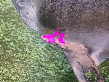 ЗАЩИТА ПОД КРЫЛО НА TOYOTA COROLLA FIELDER ZZE122G