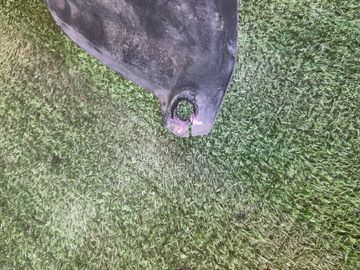 ЗАЩИТА ПОД КРЫЛО НА TOYOTA MARK II GX90