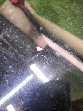 КРЫШКА БАГАЖНИКА НА AUDI A4 8K5