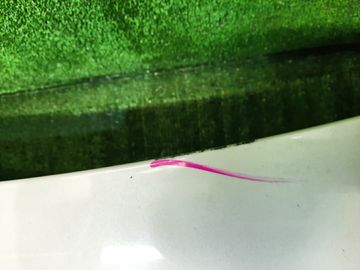 КРЫШКА БАГАЖНИКА НА TOYOTA CRESTA JZX100