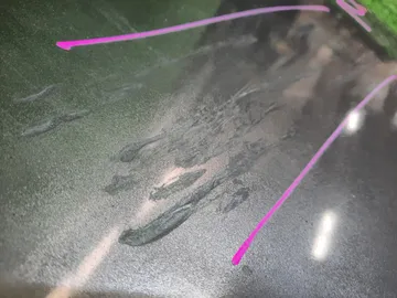 КРЫШКА БАГАЖНИКА НА MITSUBISHI GALANT FORTIS CY4A