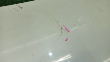 КРЫШКА БАГАЖНИКА НА TOYOTA CROWN JZS155