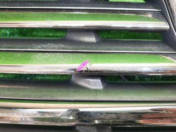 РЕШЕТКА РАДИАТОРА НА TOYOTA VELLFIRE GGH25