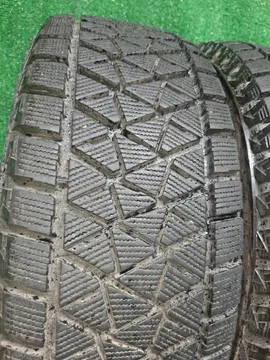 шины BRIDGESTONE DM-V2