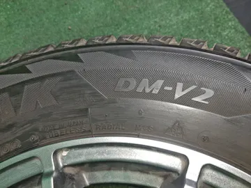 шины BRIDGESTONE DM-V2