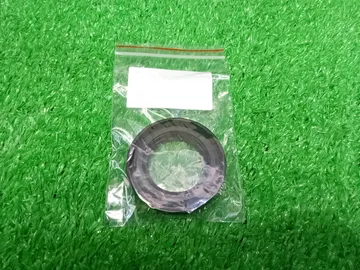 САЛЬНИК НА TOYOTA