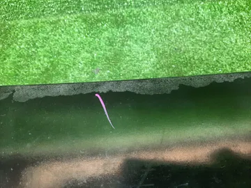 СПОЙЛЕР НА SUBARU LEGACY BLE