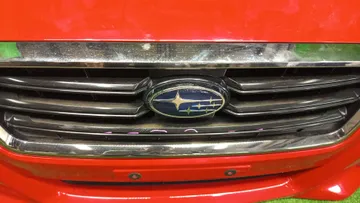 НОУСКАТ НА SUBARU LEVORG VM4 FB16