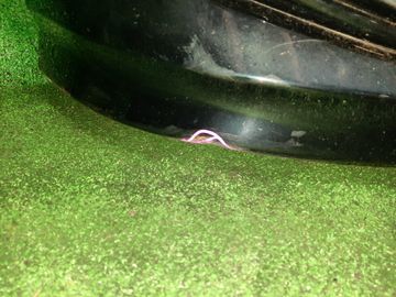 НОУСКАТ НА HONDA JADE FR4 LEB
