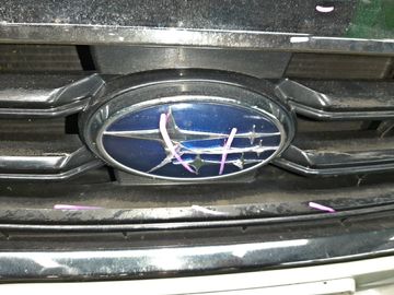 НОУСКАТ НА SUBARU LEVORG VM4 FB16