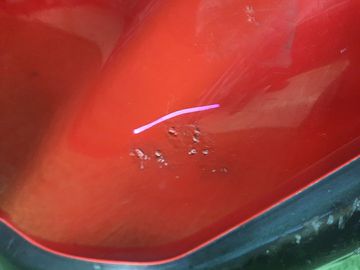 НОУСКАТ НА NISSAN X-TRAIL NT31 MR20DE