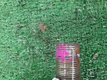 ПРИВОД НА TOYOTA ISIS ZNM10G 1ZZ-FE