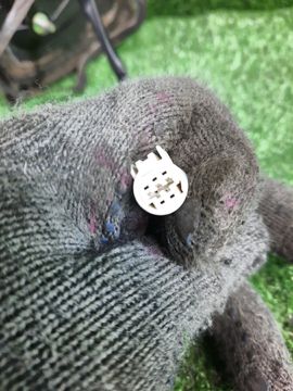 ЗЕРКАЛО НА TOYOTA BELTA SCP92