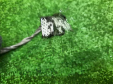 ЗЕРКАЛО НА NISSAN NOTE E12