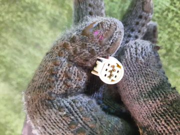 ЗЕРКАЛО НА TOYOTA COROLLA FIELDER NZE121G