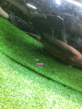 ЗЕРКАЛО НА TOYOTA COROLLA FIELDER NZE121G