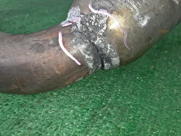 ГЛУШИТЕЛЬ НА HONDA S2000 AP1 F20C