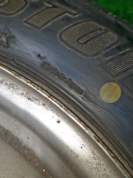 шины BRIDGESTONE R205